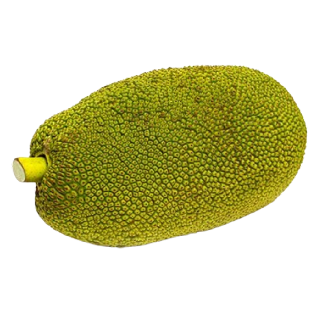 Jackfruit