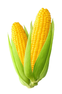 Frozen Sweet Corn