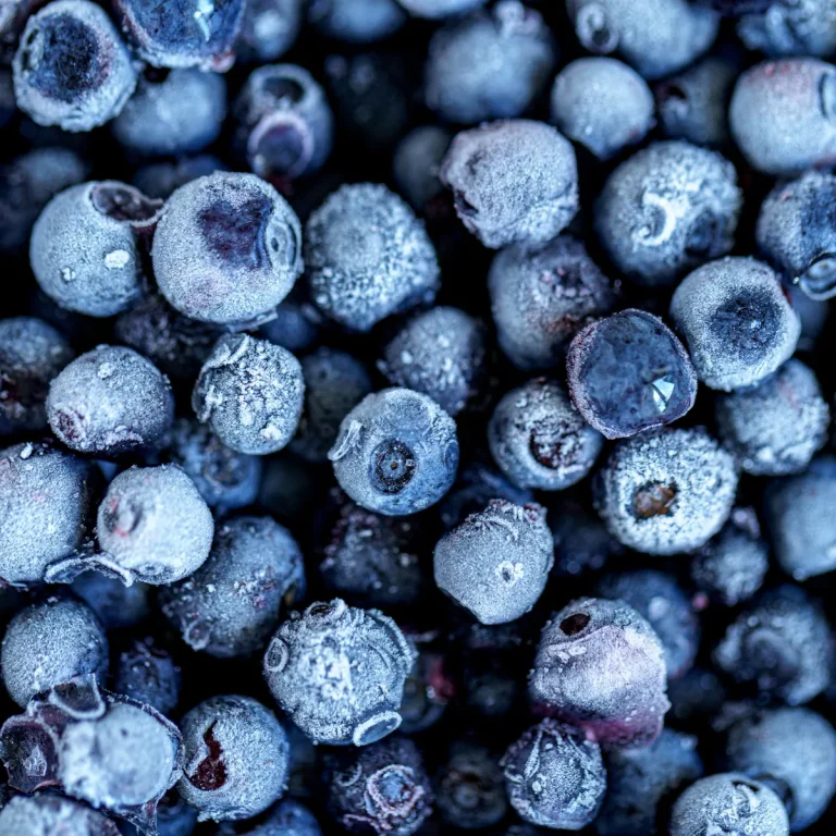 IQF frozen blueberries — Concord Wholesale