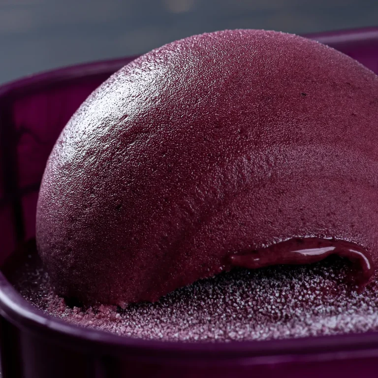 Scoopable frozen açaí in a tub — Concord Wholesale