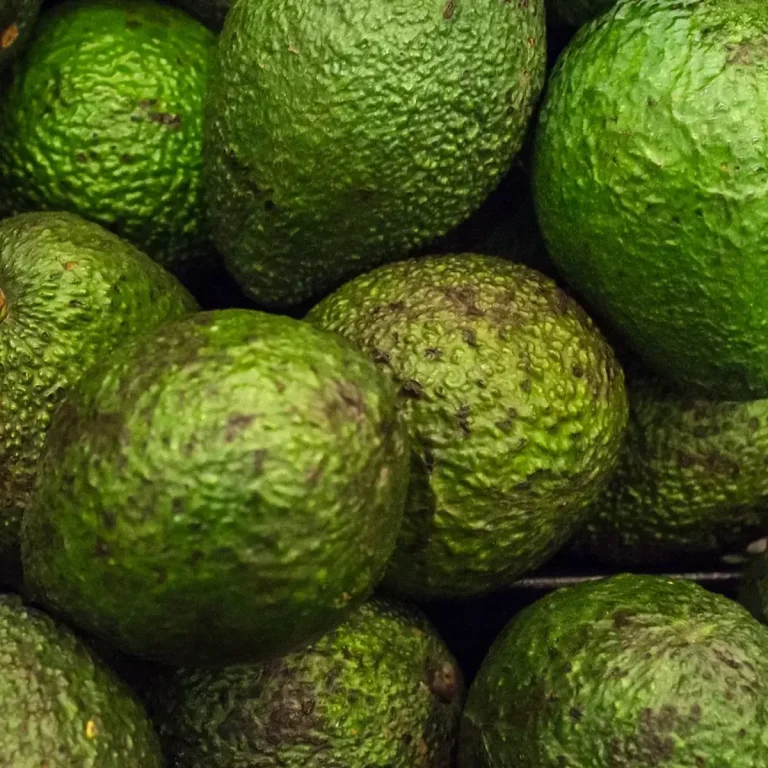 Whole avocados — Concord Wholesale