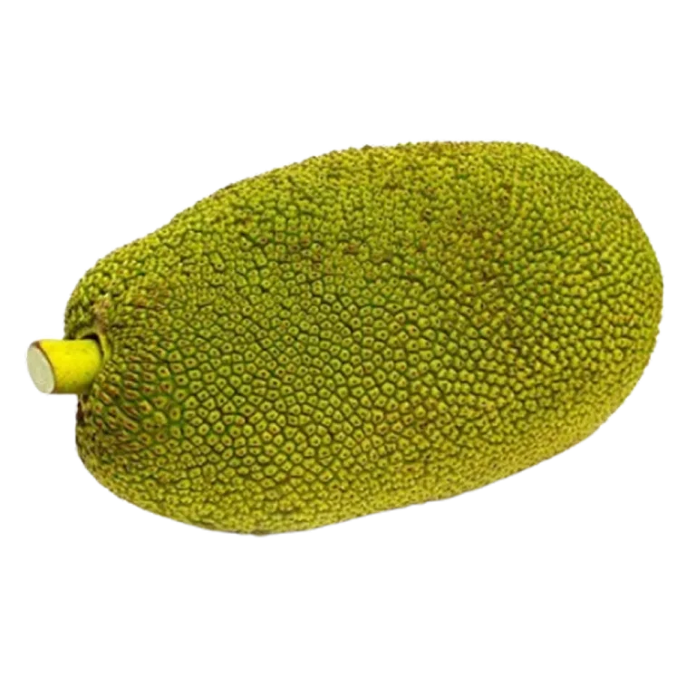 Frozen Jackfruit